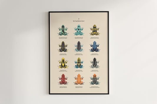 Poison Dart Frog Series 1 Poster from The Silk Ranch