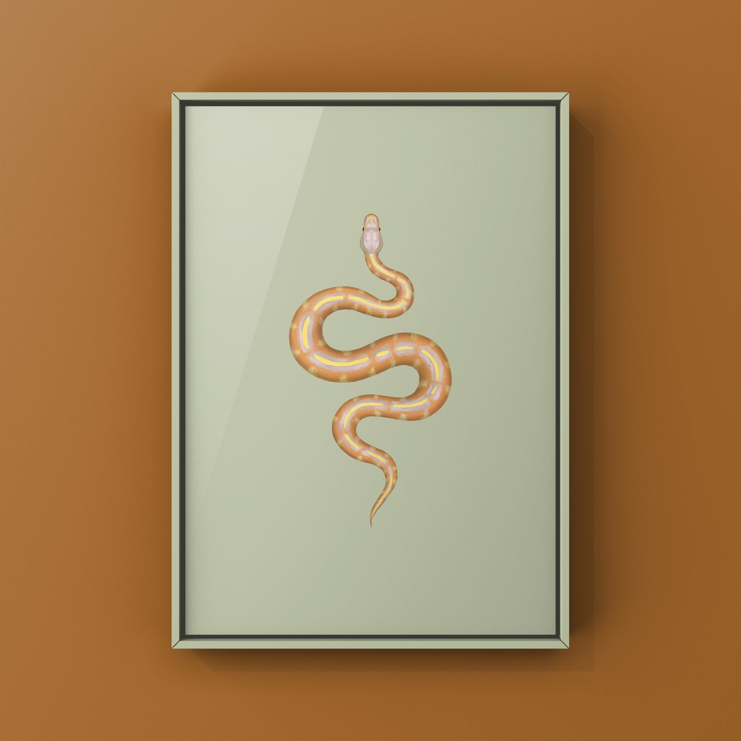 Banana Super Asphalt Ball Python Art Print from The Silk Ranch