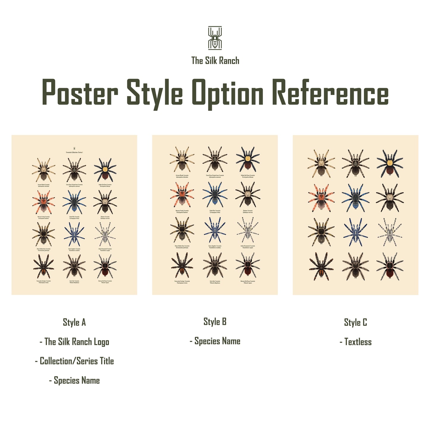 Isopod Series 1 art poster by The Silk Ranch featuring detailed illustrations of isopods on a white background.