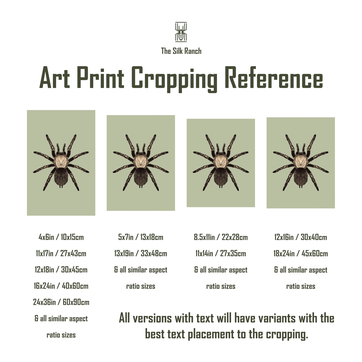Goliath Birdeater Tarantula (Theraphosa blondi) Art Print