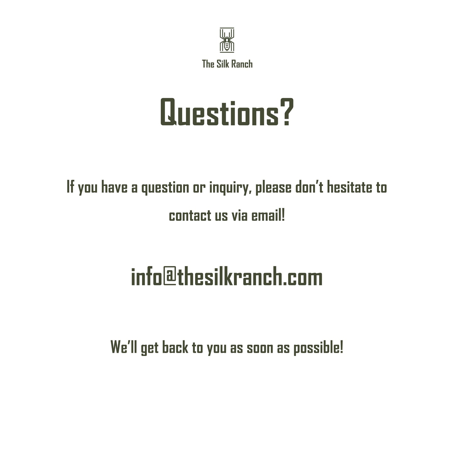 Panda King Isopod Keychain, Cubaris Sp. Panda King Acrylic Charm from The Silk Ranch