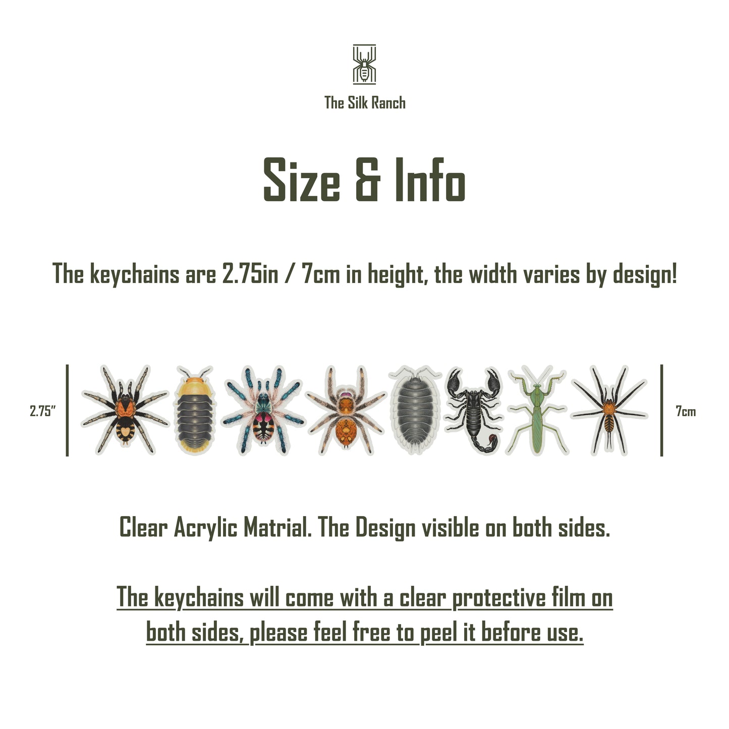 Devil's Curtain Web Spider Keychain, Harmonicon Oiapoqueae Acrylic Charm from The Silk Ranch