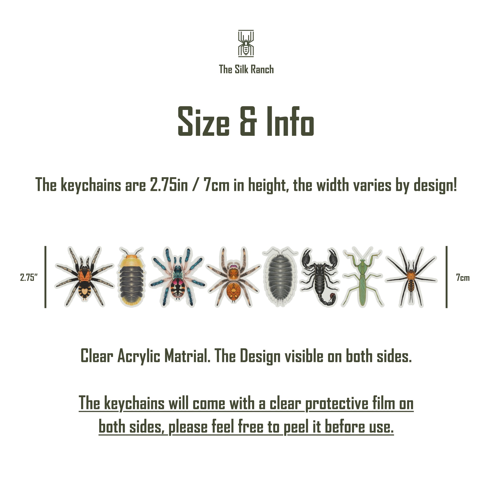 Devil's Curtain Web Spider Keychain, Harmonicon Oiapoqueae Acrylic Charm from The Silk Ranch