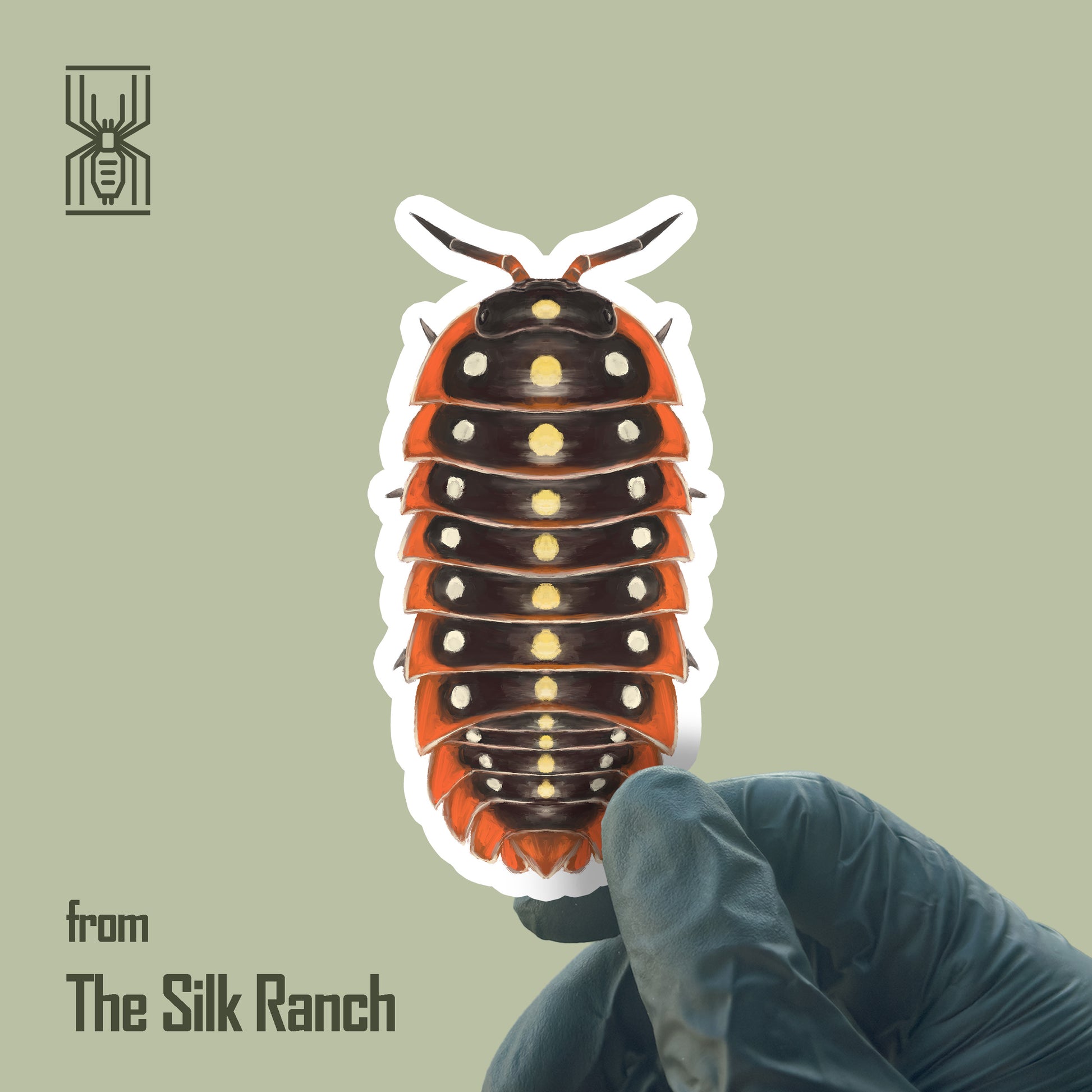 Clown Isopod Sticker, Armadillidium Klugii Waterproof Vinyl Sticker from The Silk Ranch