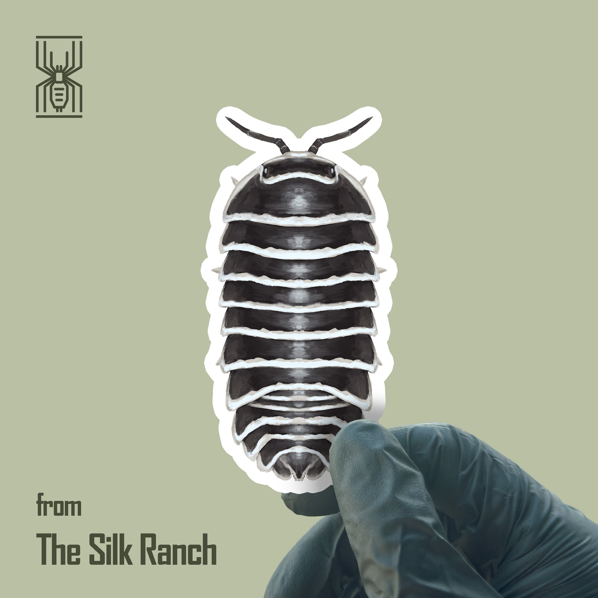 Zebra Isopod Sticker, Armadillidium Maculatum Waterproof Vinyl Sticker from The Silk Ranch