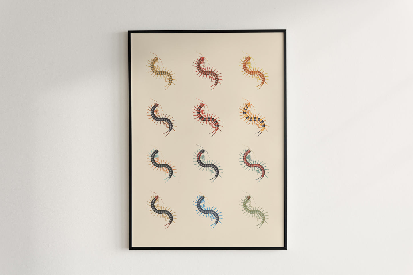 Centipede Series 1 Poster from The Silk Ranch