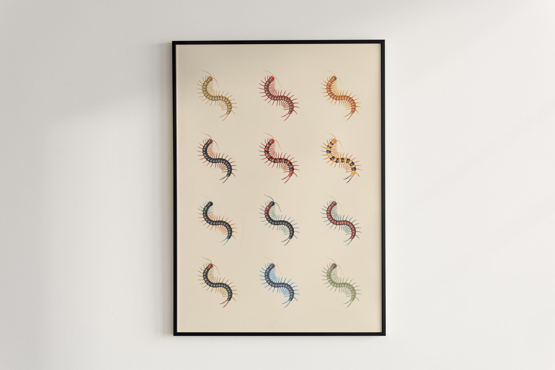 Centipede Series 1 Poster from The Silk Ranch