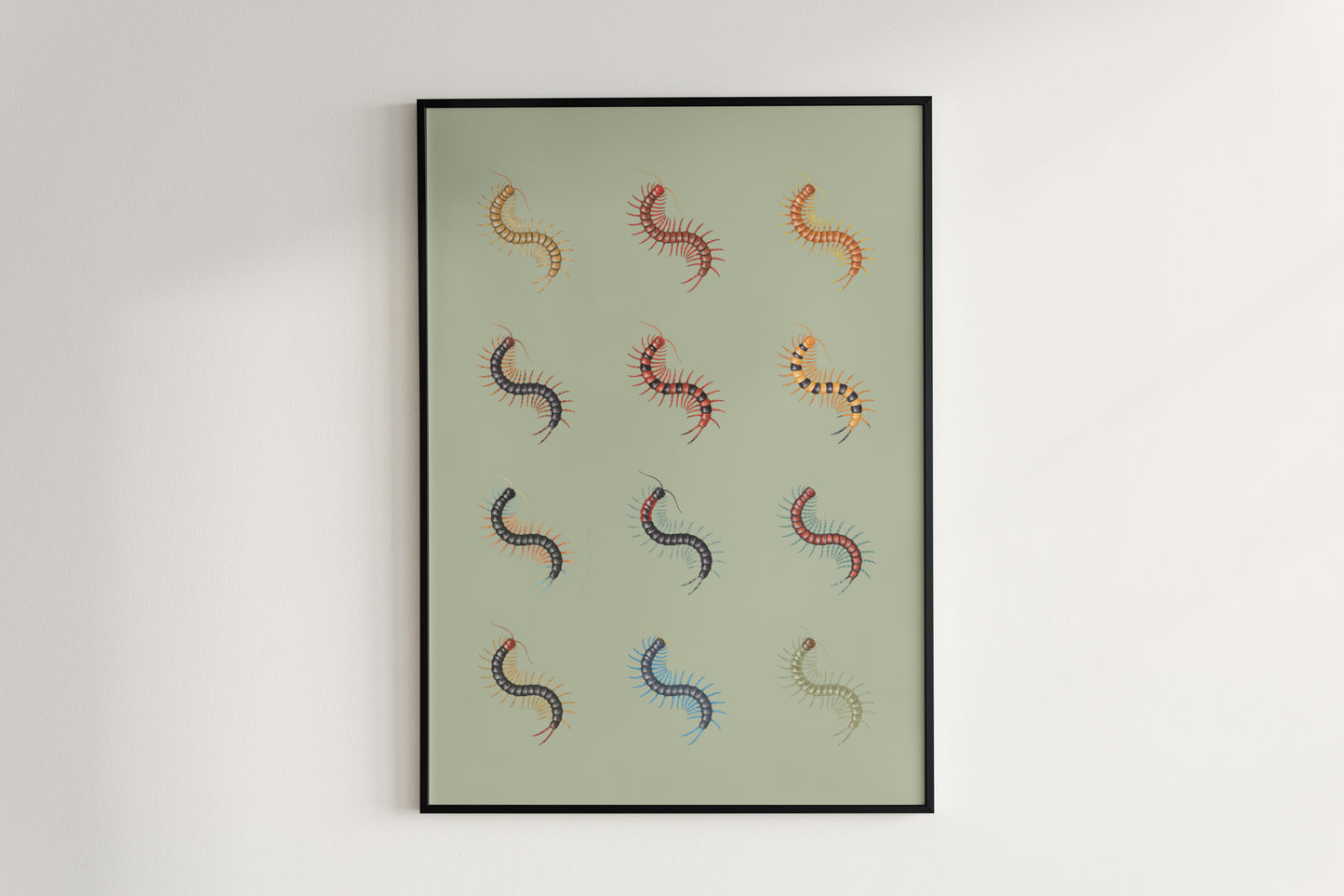 Centipede Series 1 Poster from The Silk Ranch