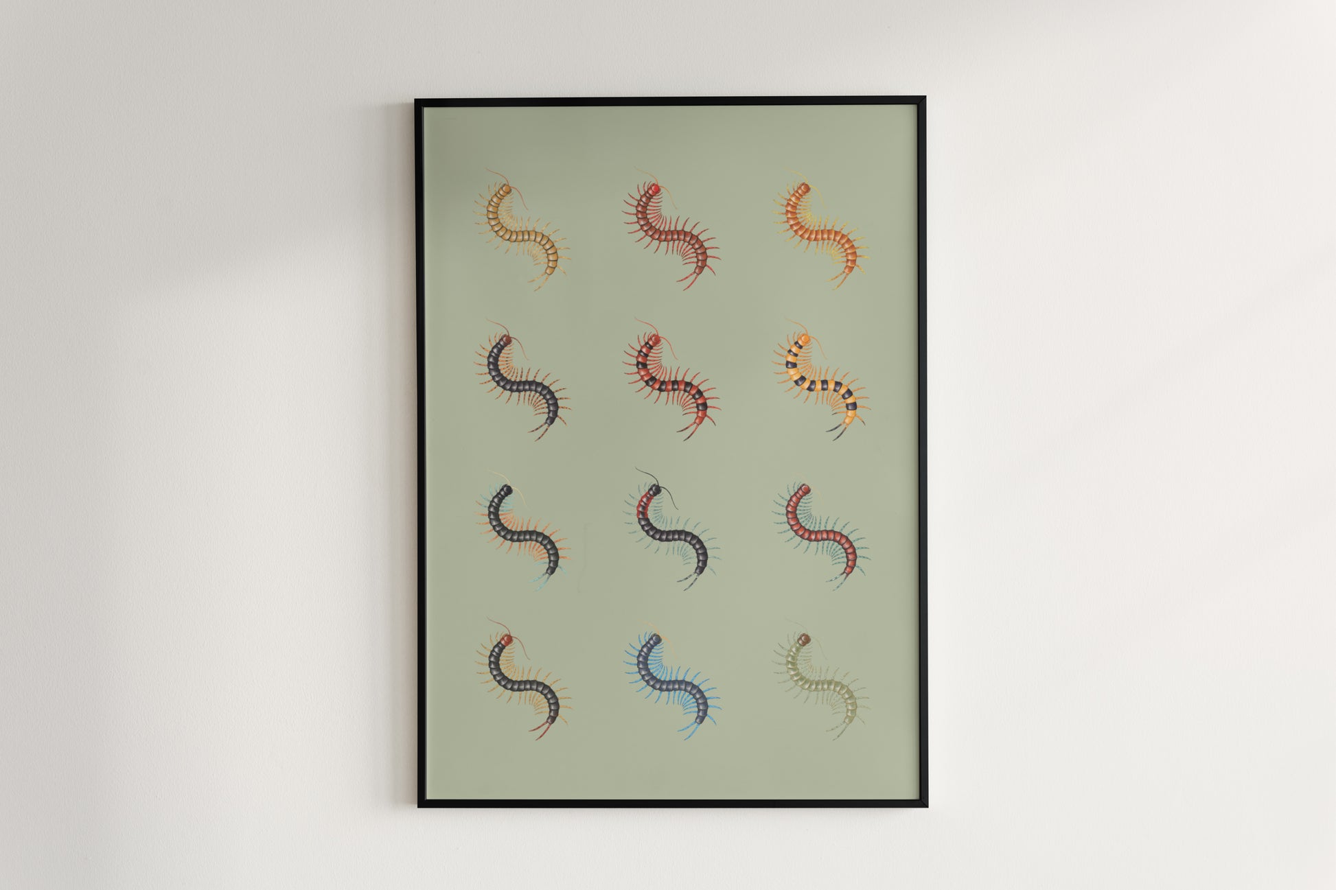 Centipede Series 1 Poster from The Silk Ranch