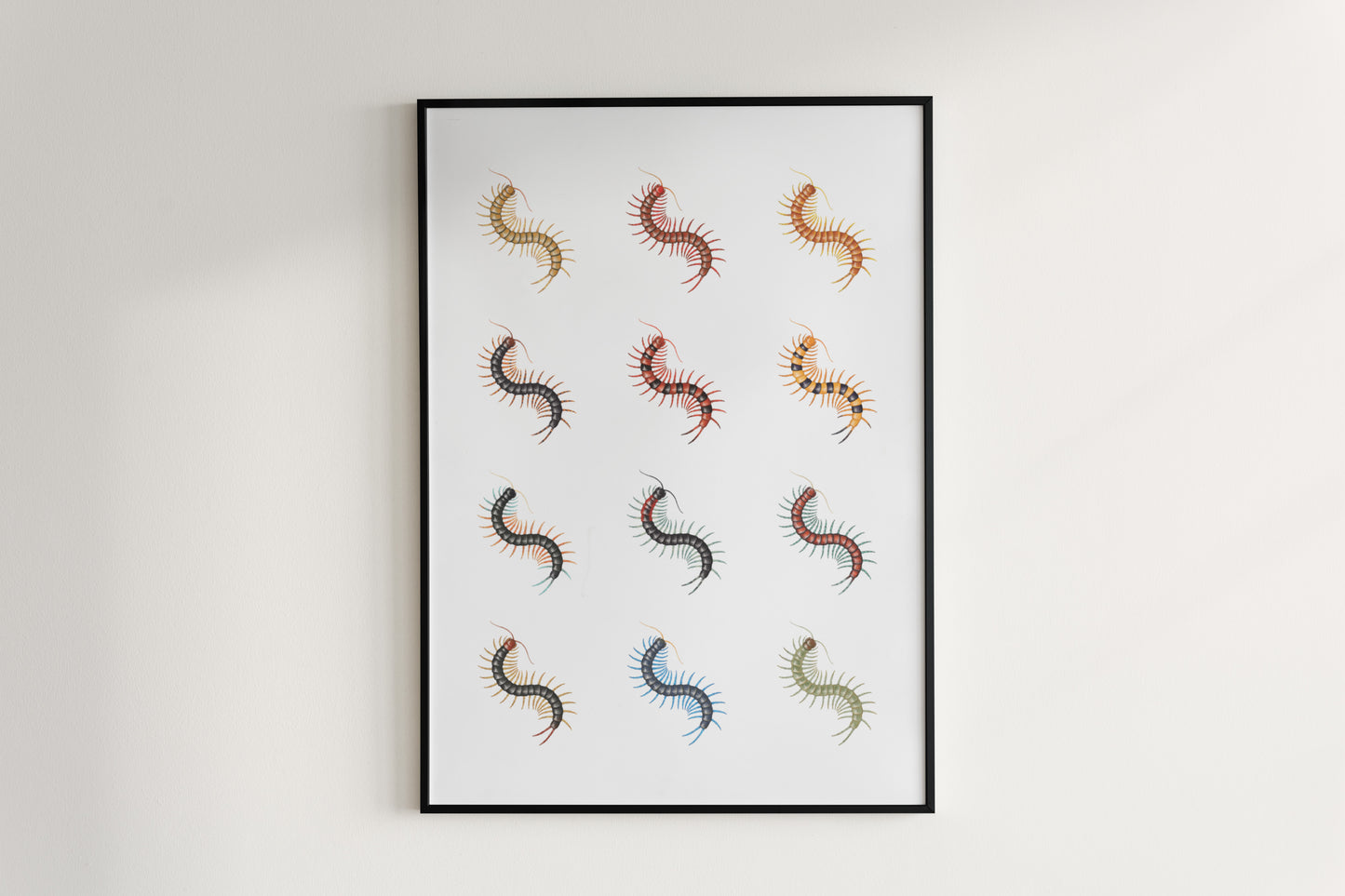 Centipede Series 1 Poster from The Silk Ranch