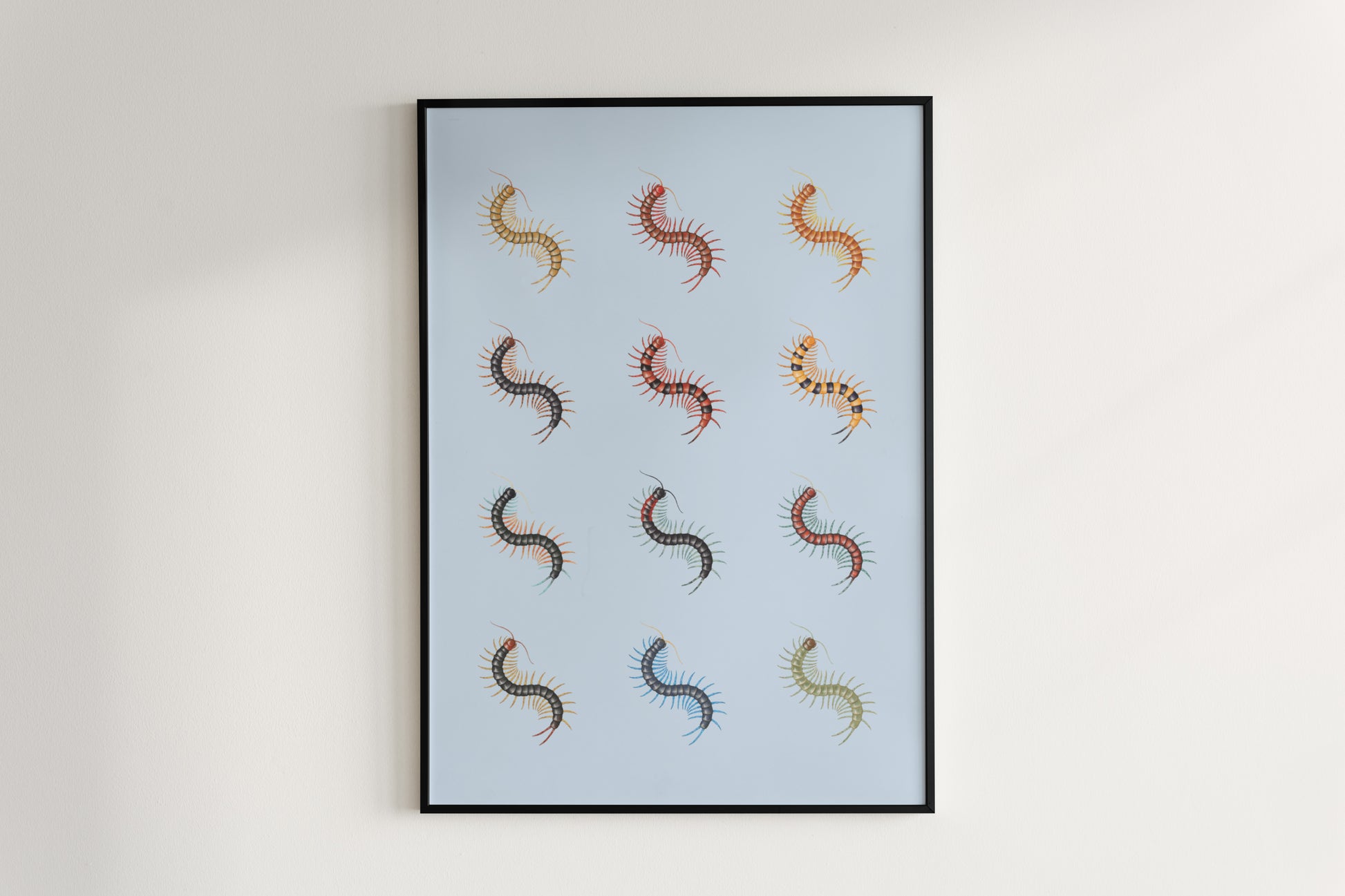 Centipede Series 1 Poster from The Silk Ranch