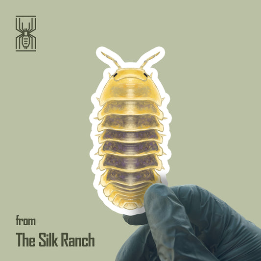 Jupiter Isopod Sticker, Cubaris sp. Jupiter Waterproof Vinyl Sticker from The Silk Ranch