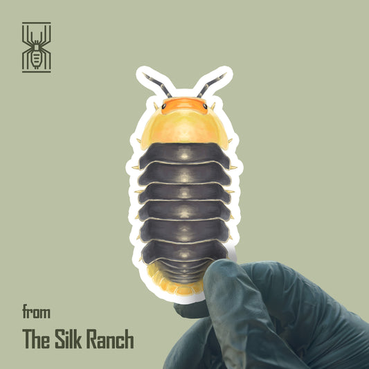 Rubber Ducky Isopod Sticker, Cubaris sp, Rubber Ducky Waterproof Vinyl Sticker from The Silk Ranch