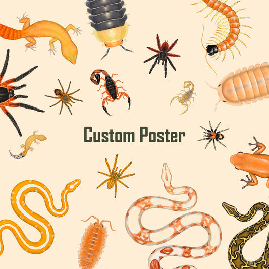 Custom Poster