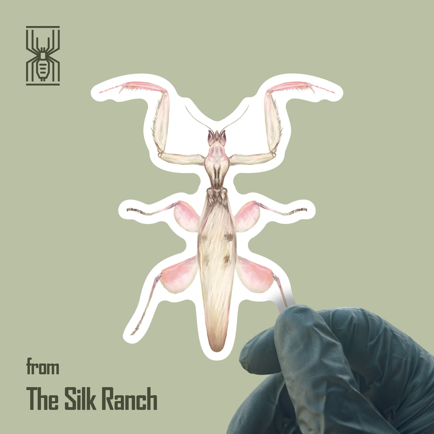 Orchid Mantis Sticker, Hymenopus Coronatus Waterproof Vinyl Sticker from The Silk Ranch
