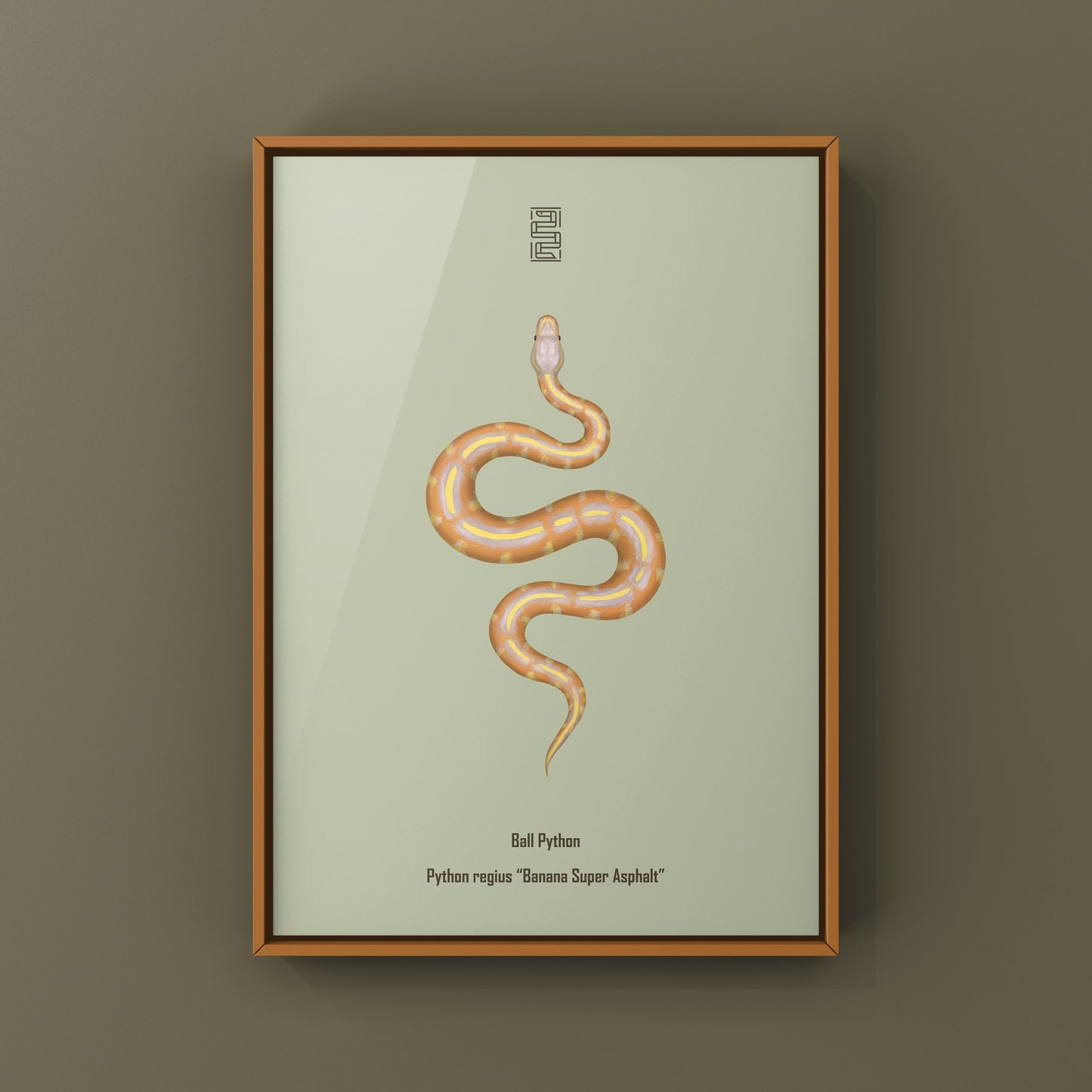 Banana Super Asphalt Ball Python Art Print from The Silk Ranch