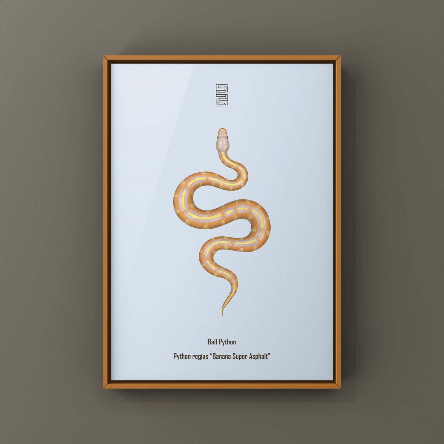 Banana Super Asphalt Ball Python Art Print from The Silk Ranch
