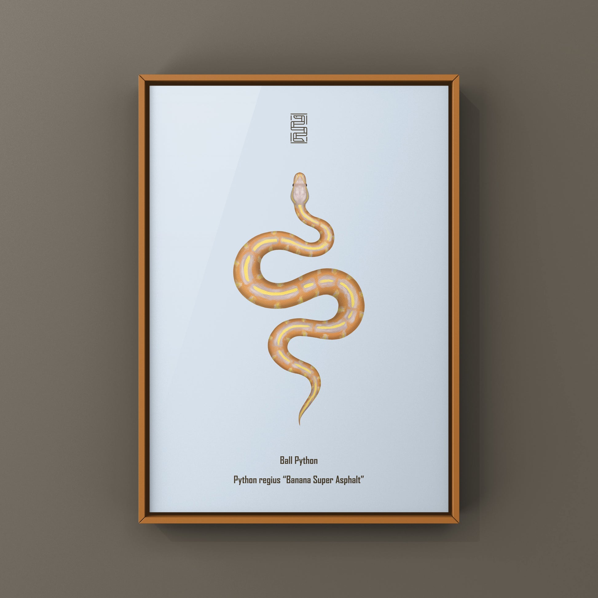 Banana Super Asphalt Ball Python Art Print from The Silk Ranch