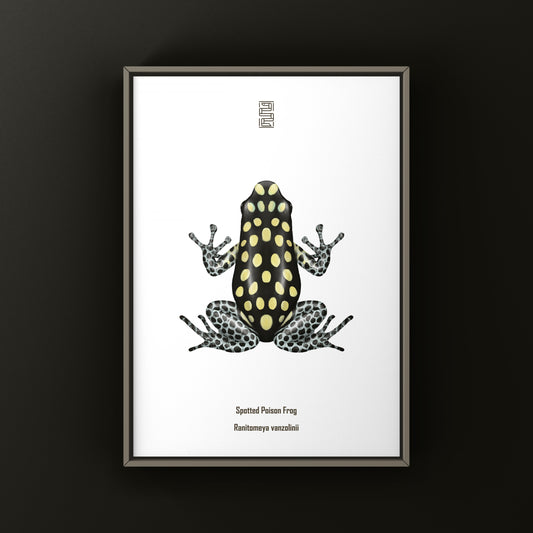 Spotted Poison Frog Art Print (Ranitomeya vanzolinii)