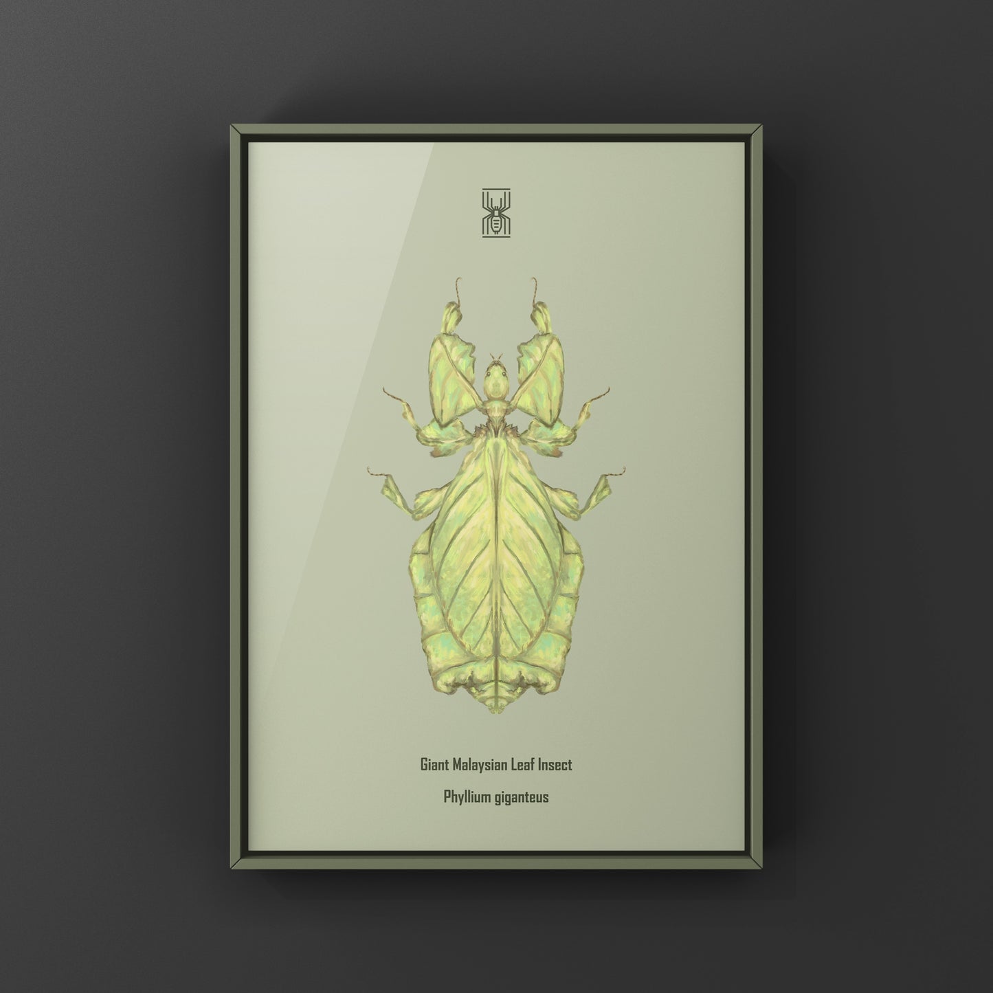 Malaysian Giant Leaf Insect (Phyllium giganteus) Art Print from The Silk Ranch