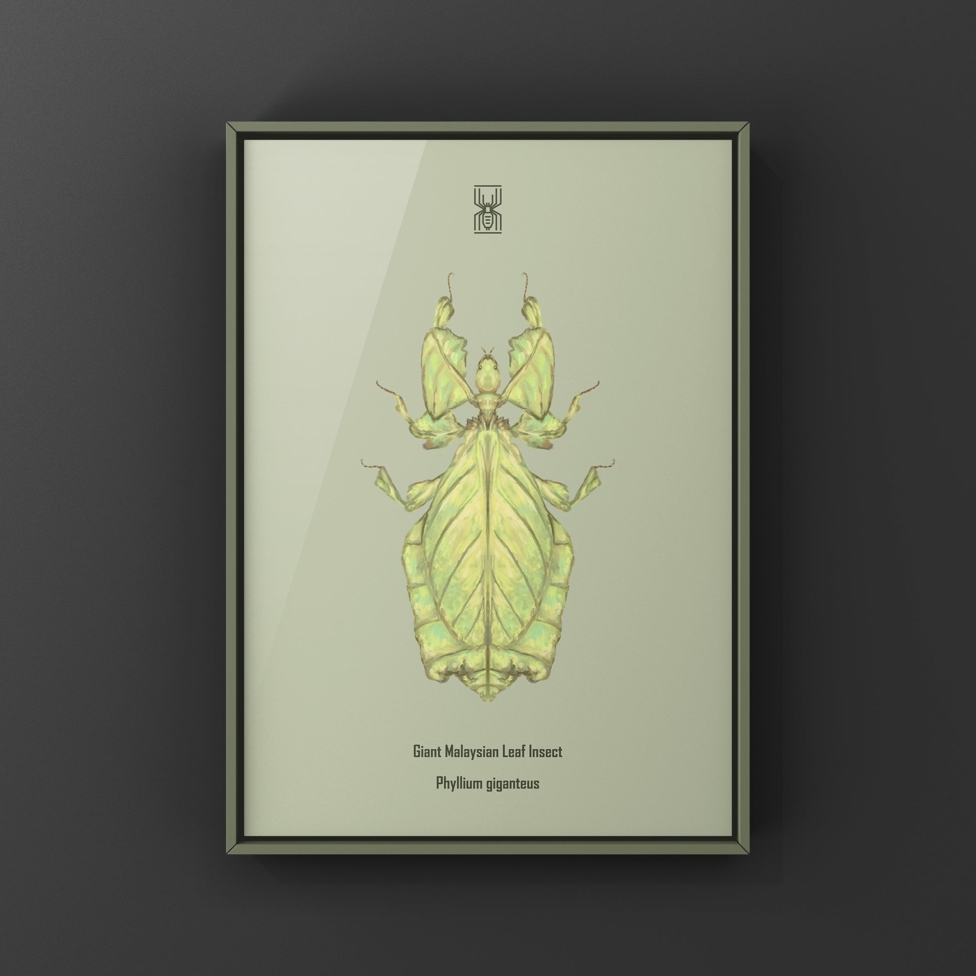 Malaysian Giant Leaf Insect (Phyllium giganteus) Art Print from The Silk Ranch