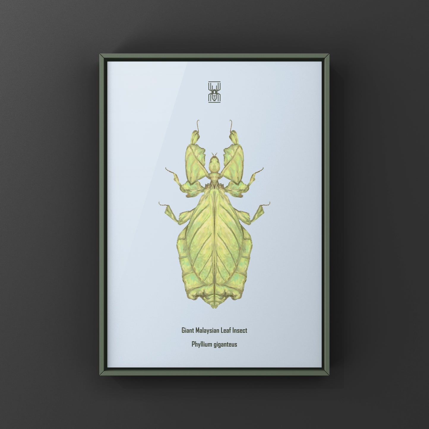Malaysian Giant Leaf Insect (Phyllium giganteus) Art Print from The Silk Ranch