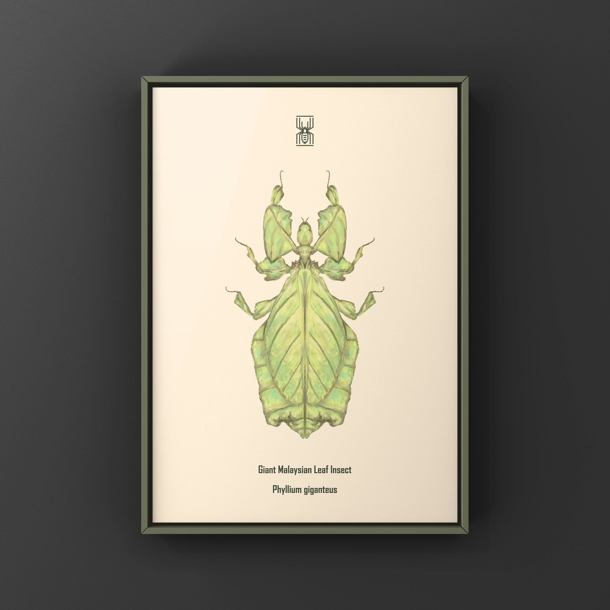 Malaysian Giant Leaf Insect (Phyllium giganteus) Art Print from The Silk Ranch