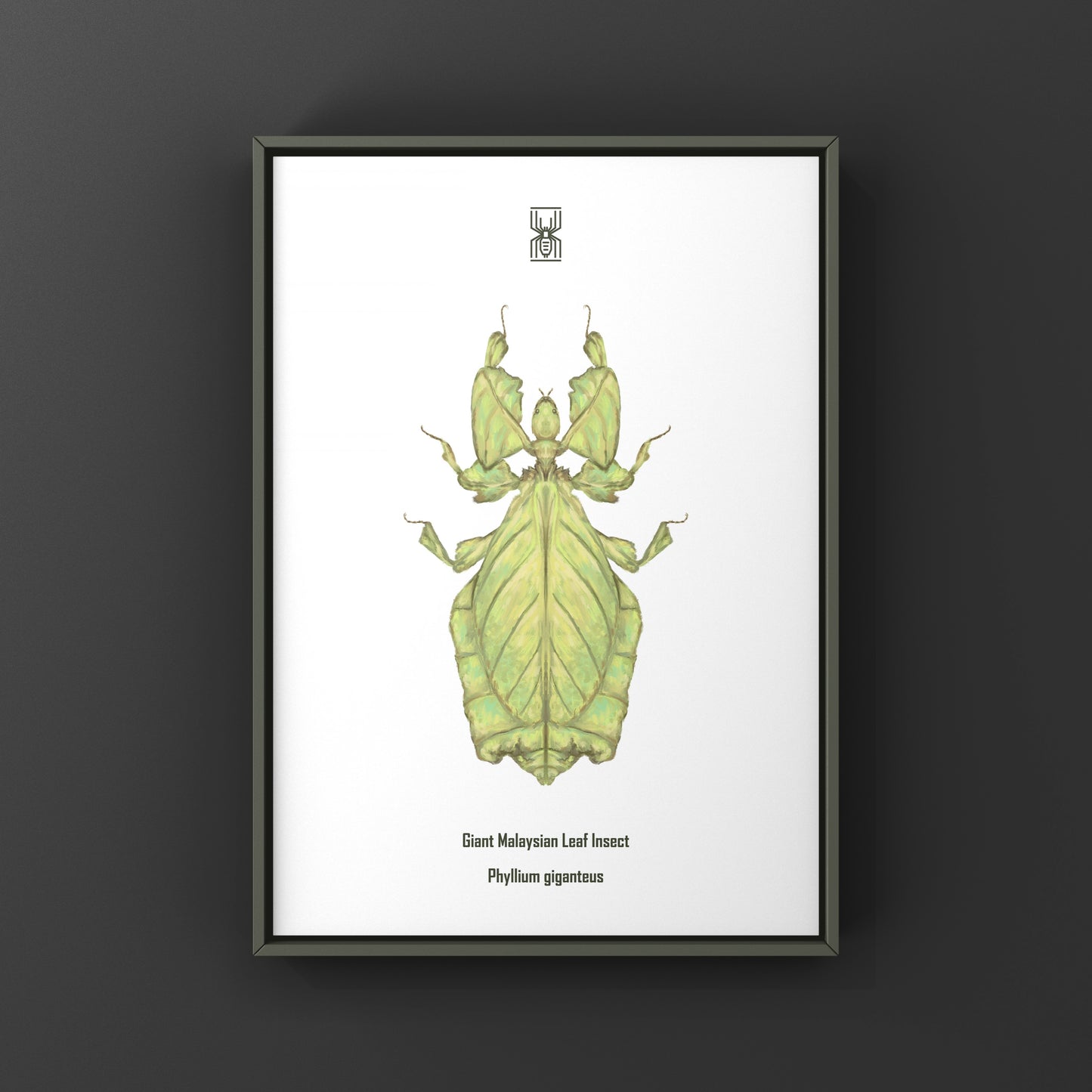Malaysian Giant Leaf Insect (Phyllium giganteus) Art Print from The Silk Ranch