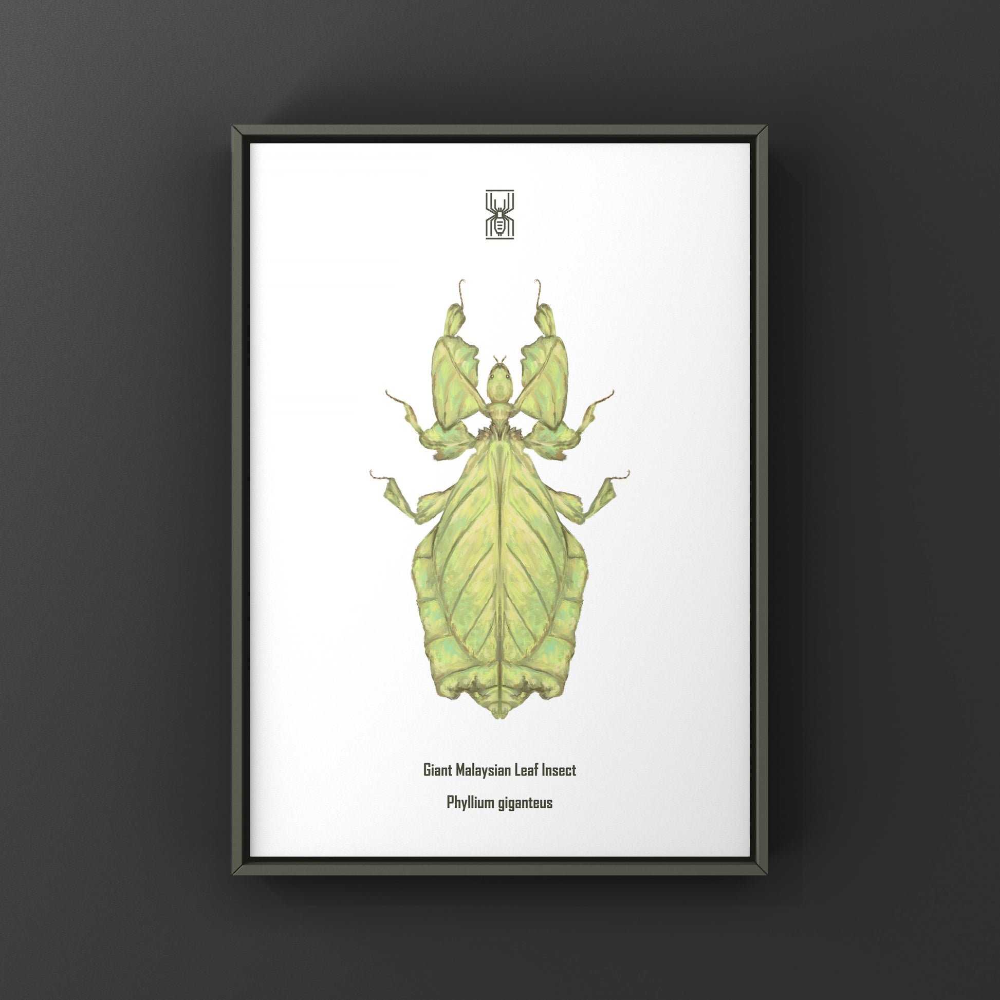 Malaysian Giant Leaf Insect (Phyllium giganteus) Art Print from The Silk Ranch