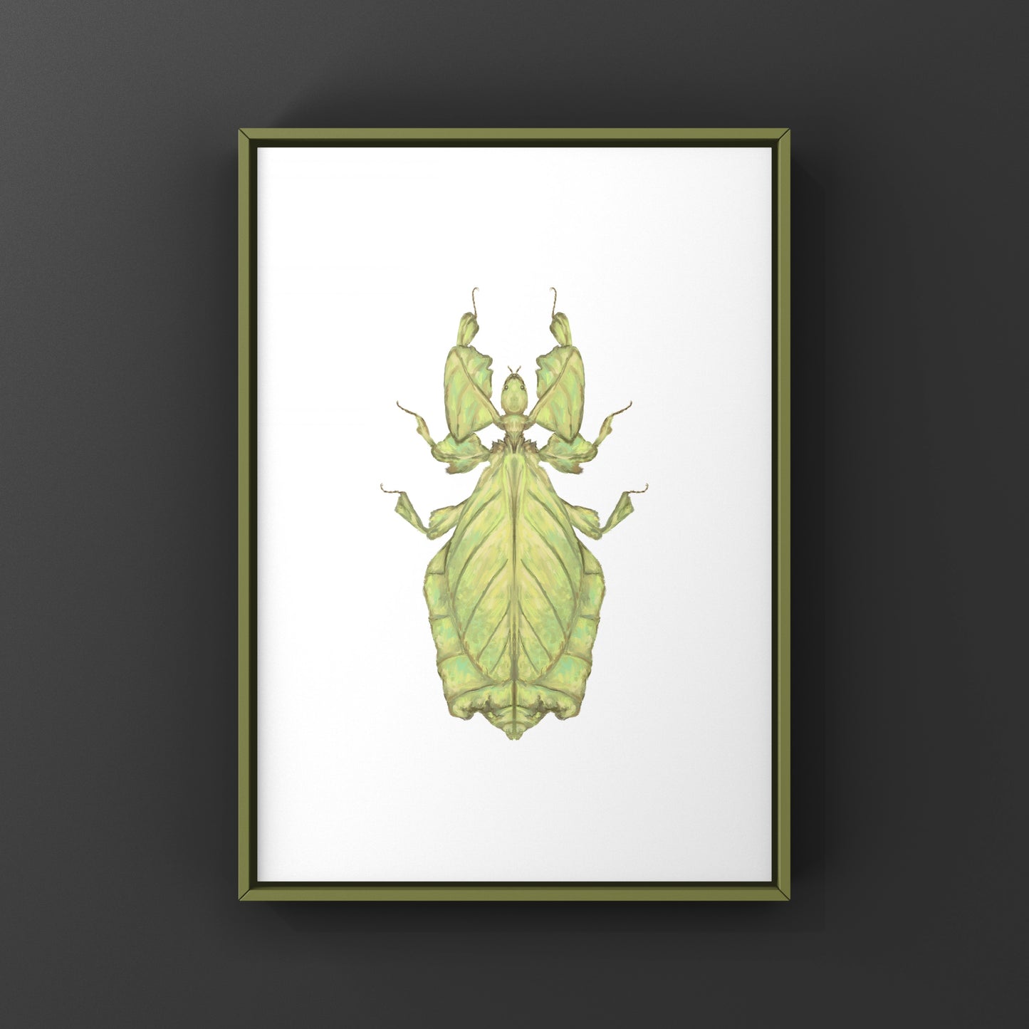 Malaysian Giant Leaf Insect (Phyllium giganteus) Art Print from The Silk Ranch