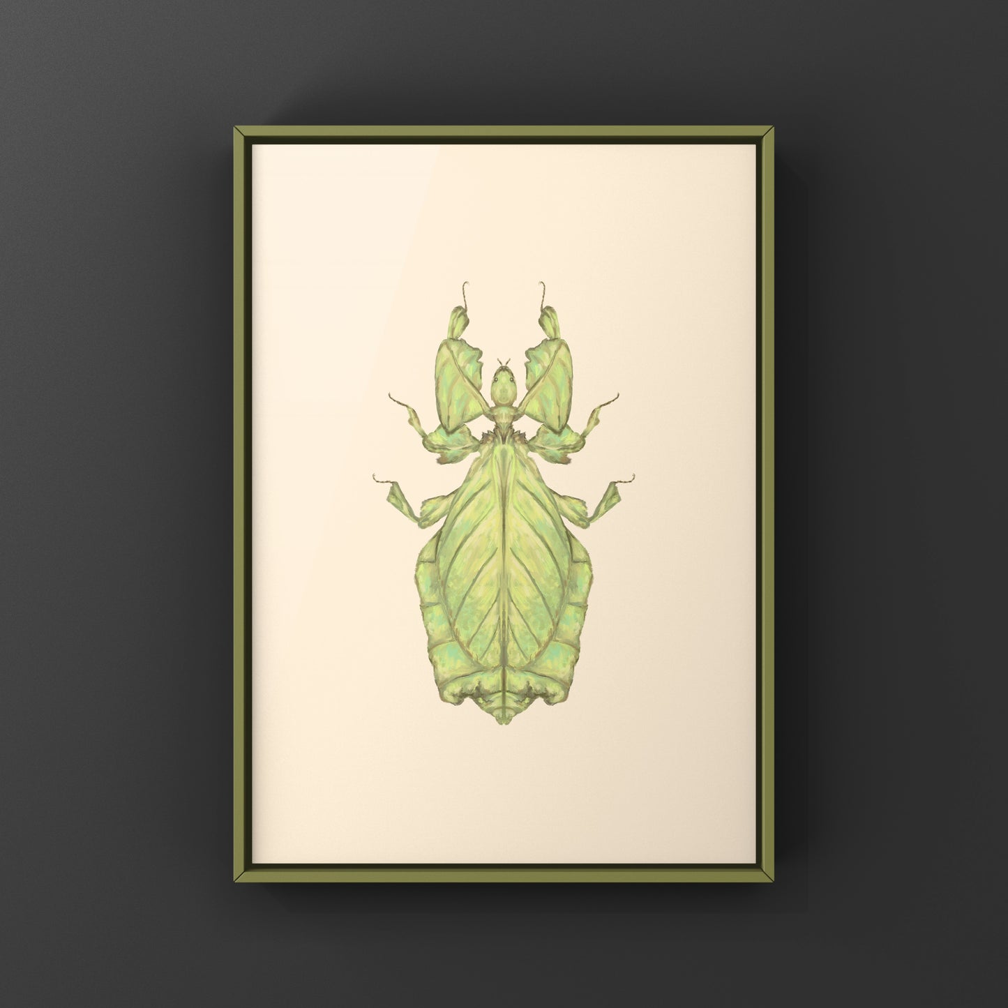 Malaysian Giant Leaf Insect (Phyllium giganteus) Art Print from The Silk Ranch