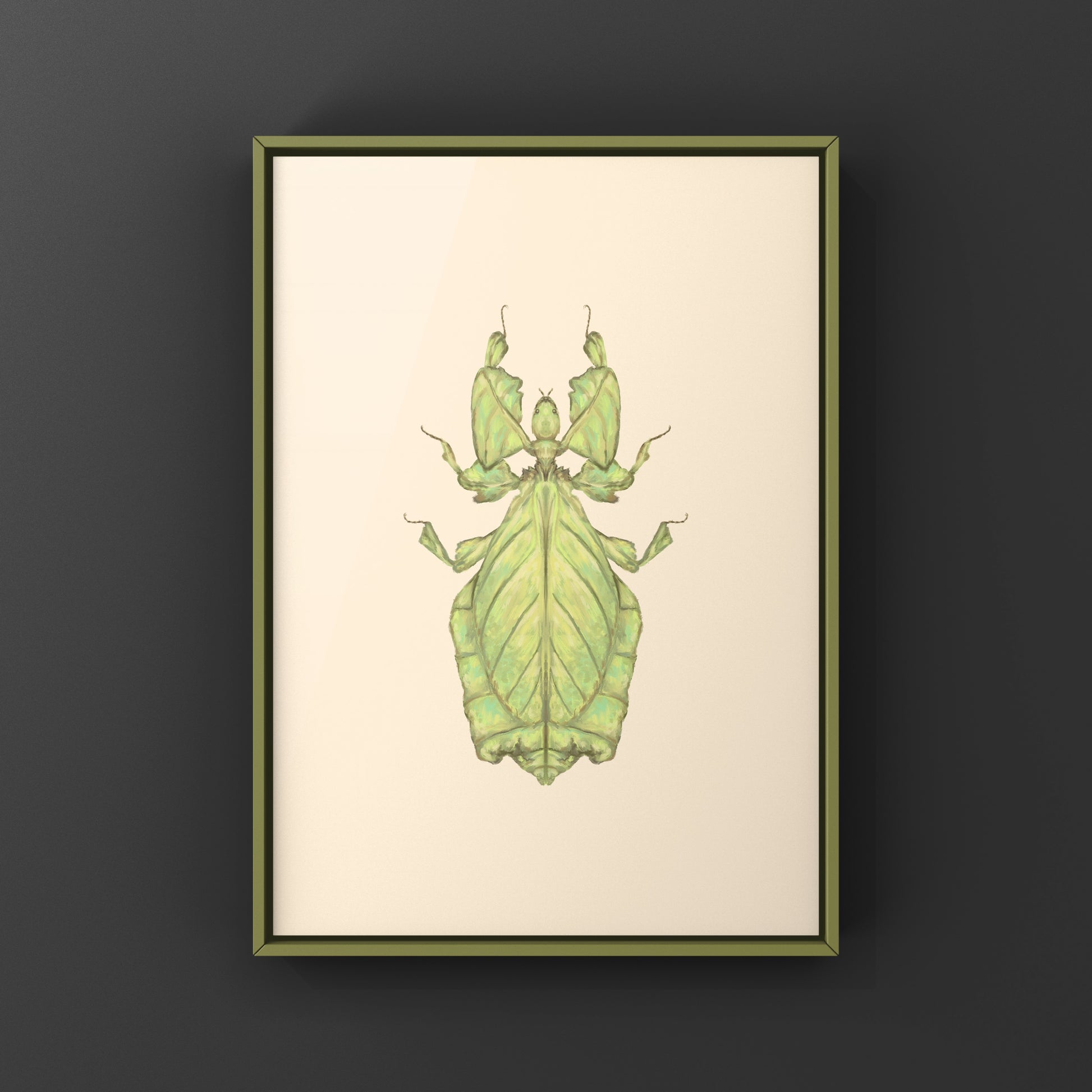 Malaysian Giant Leaf Insect (Phyllium giganteus) Art Print from The Silk Ranch
