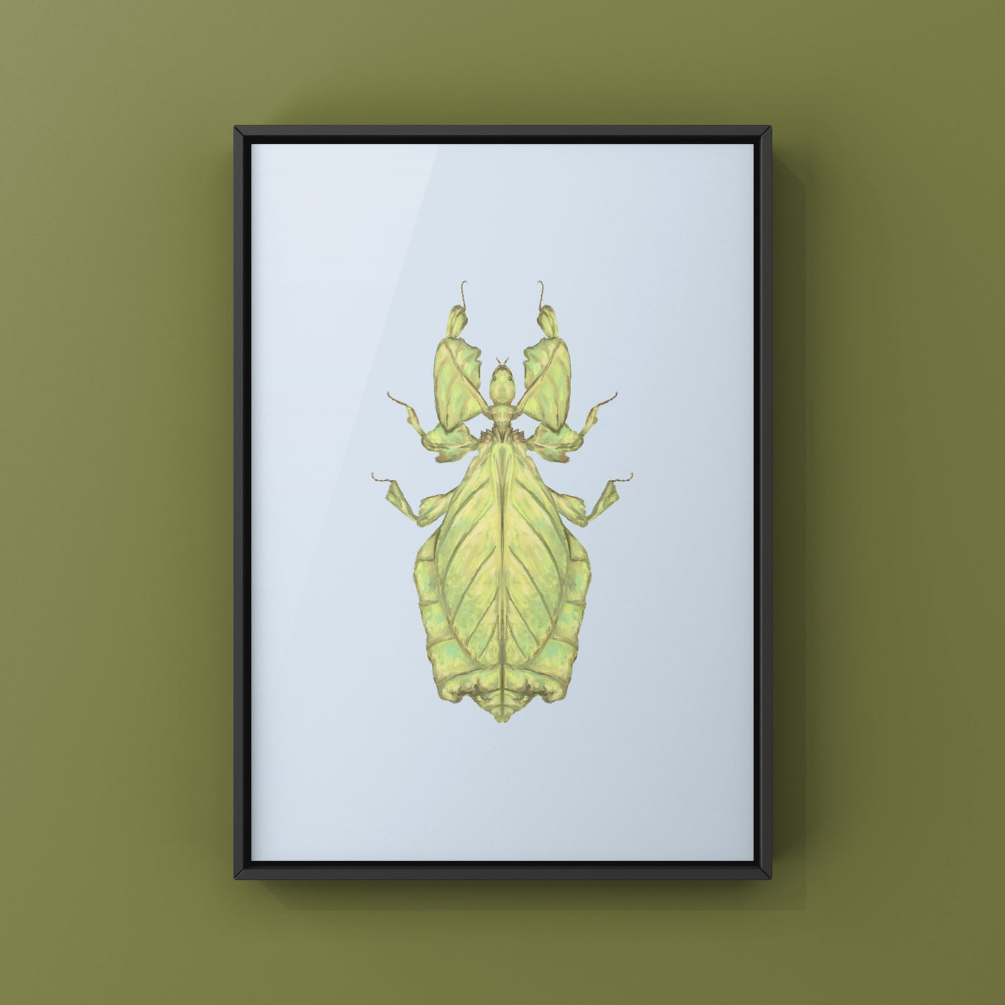 Malaysian Giant Leaf Insect (Phyllium giganteus) Art Print from The Silk Ranch