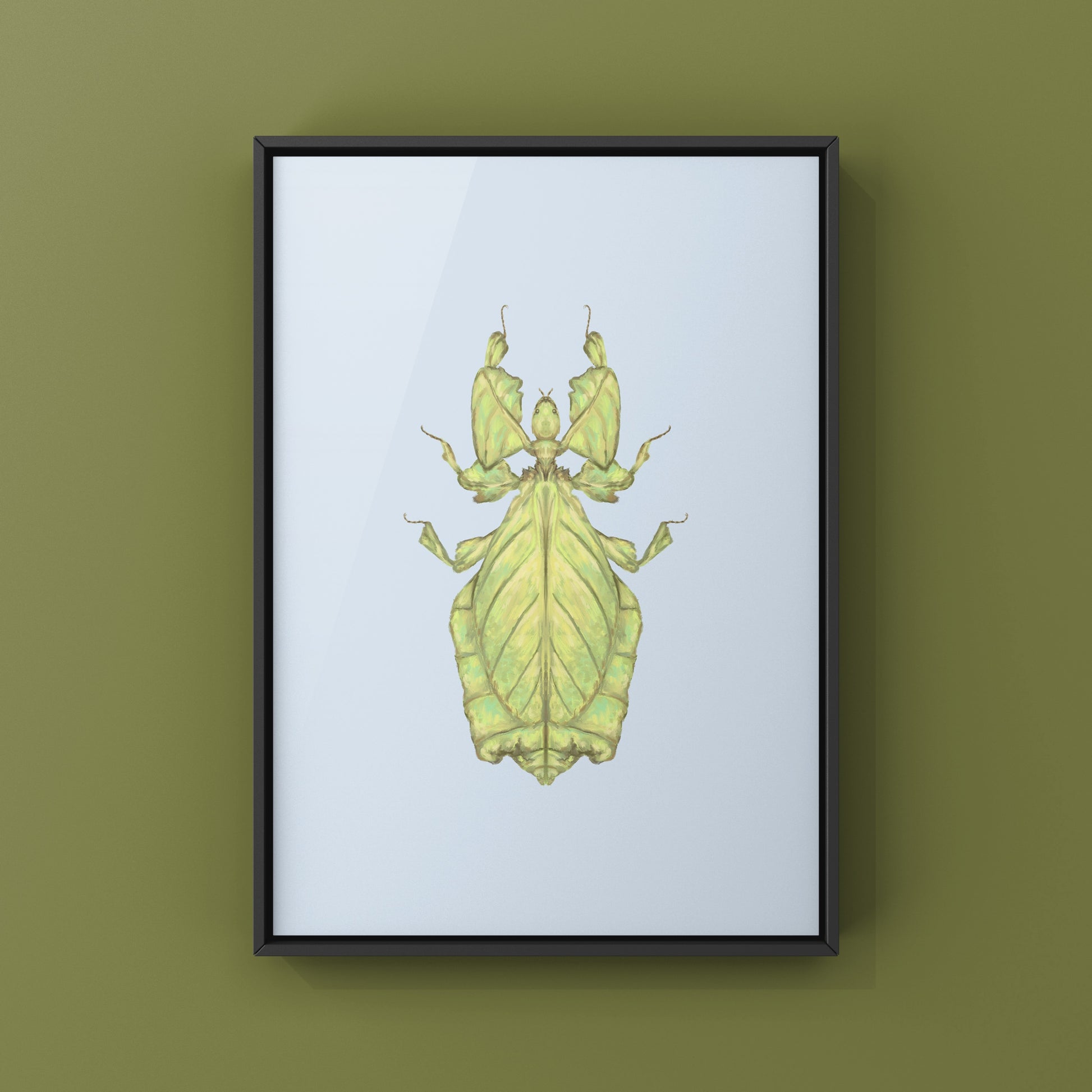 Malaysian Giant Leaf Insect (Phyllium giganteus) Art Print from The Silk Ranch
