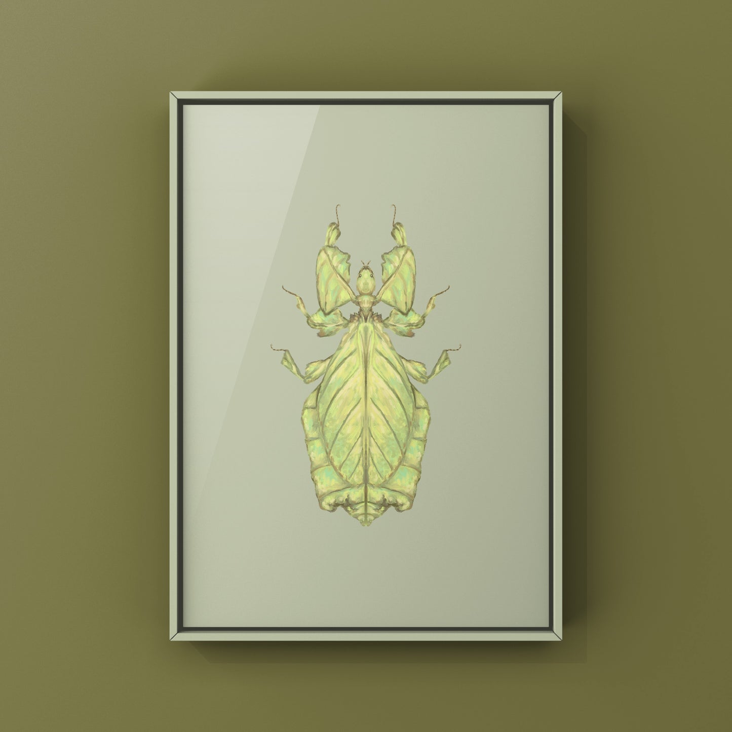 Malaysian Giant Leaf Insect (Phyllium giganteus) Art Print from The Silk Ranch