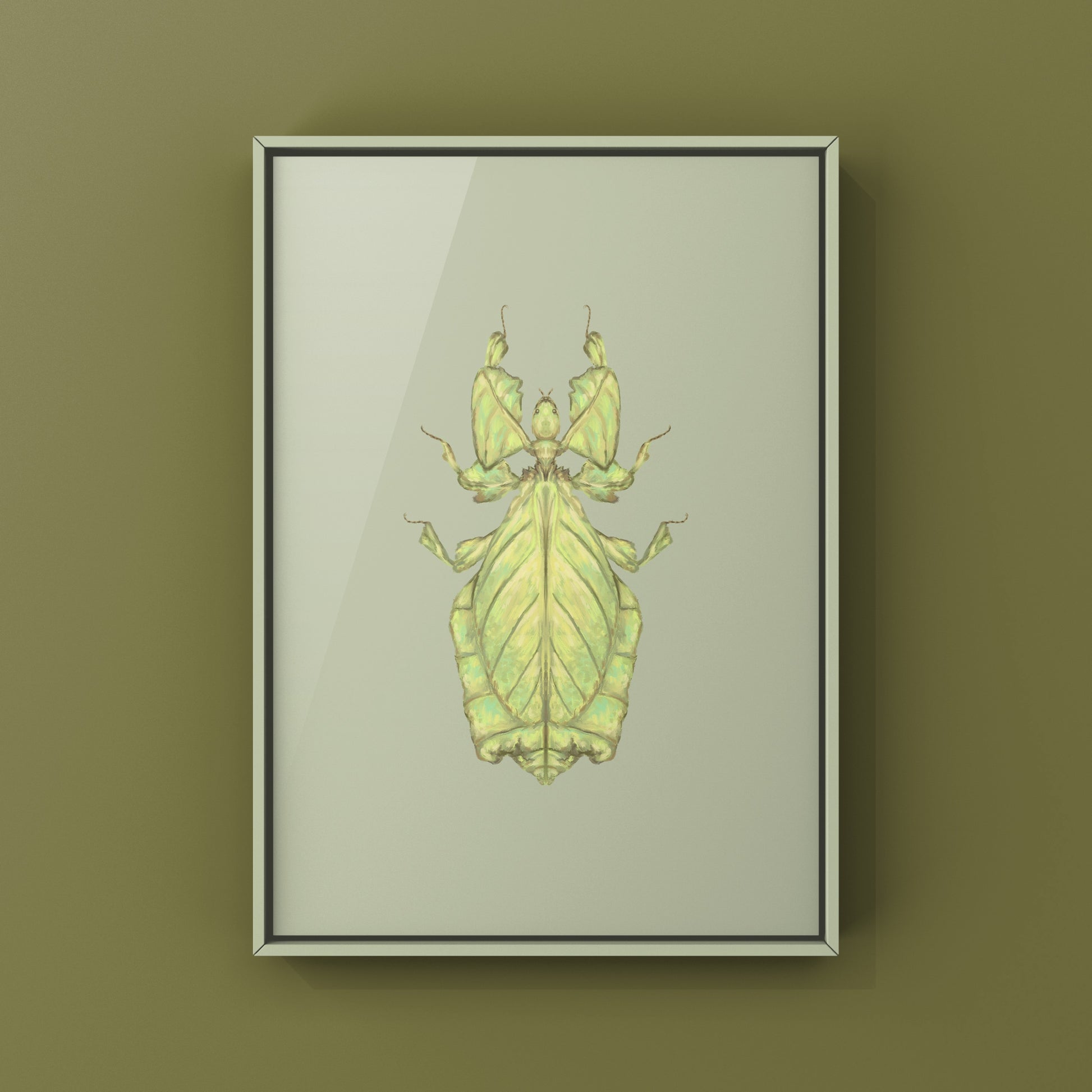 Malaysian Giant Leaf Insect (Phyllium giganteus) Art Print from The Silk Ranch