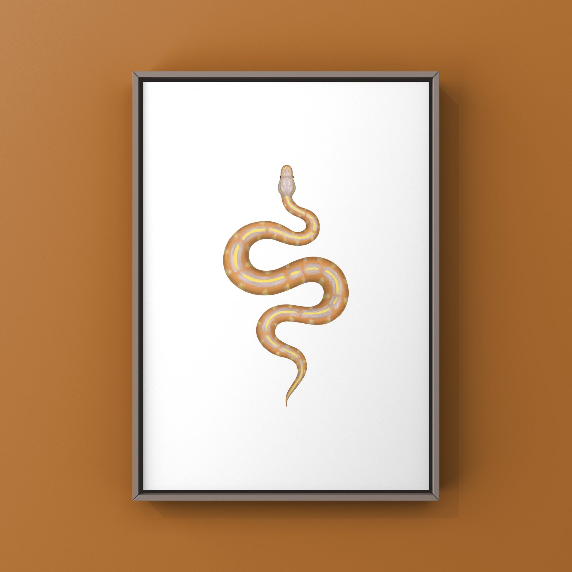 Banana Super Asphalt Ball Python Art Print from The Silk Ranch