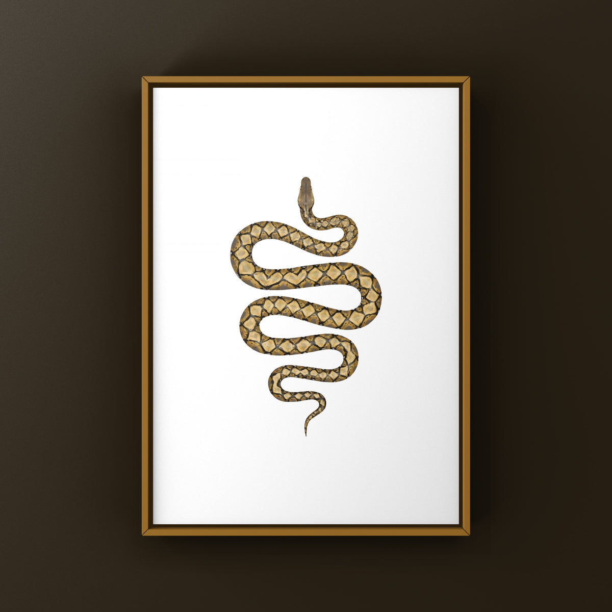 Reticulated Python Art Print (Python reticulatus)