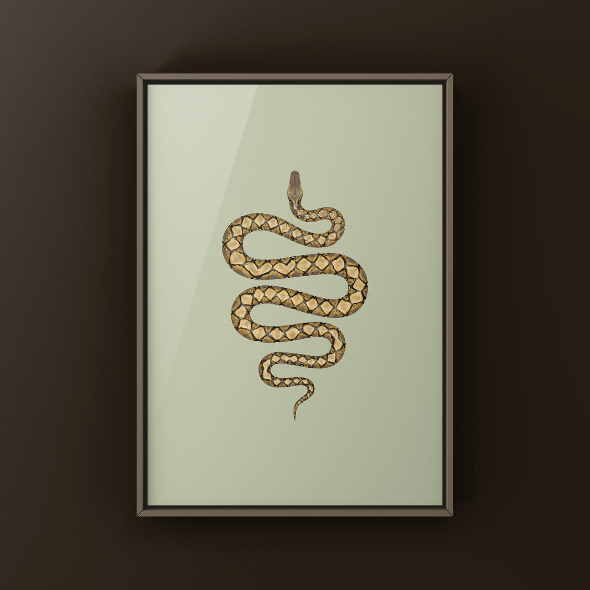 Reticulated Python Art Print (Python reticulatus)