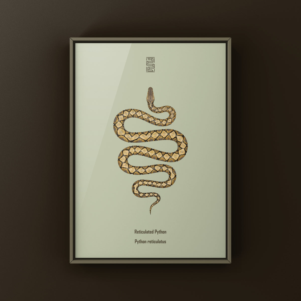 Reticulated Python Art Print (Python reticulatus)