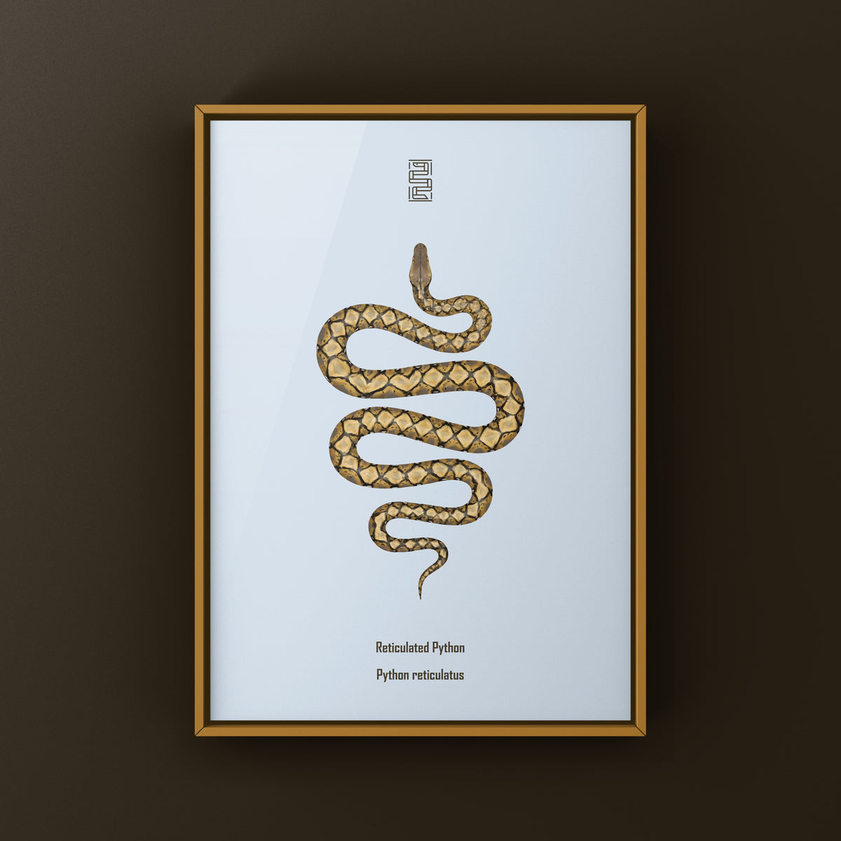 Reticulated Python Art Print (Python reticulatus)