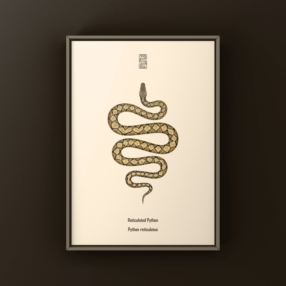 Reticulated Python Art Print (Python reticulatus)