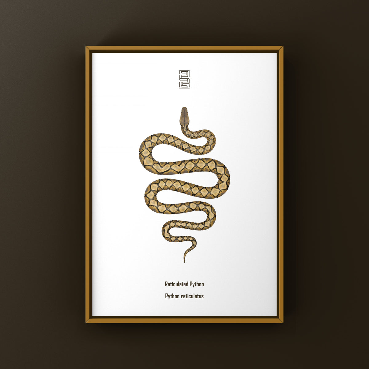Reticulated Python Art Print (Python reticulatus)