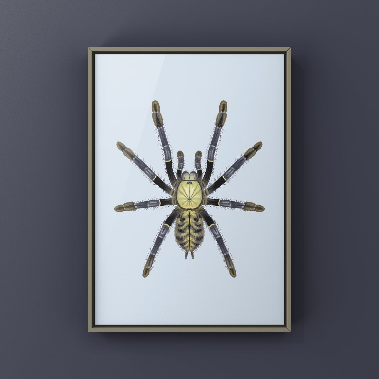 Akcaya Earth Tiger Tarantula (Phormingochilus sp. Akcaya) Art Print