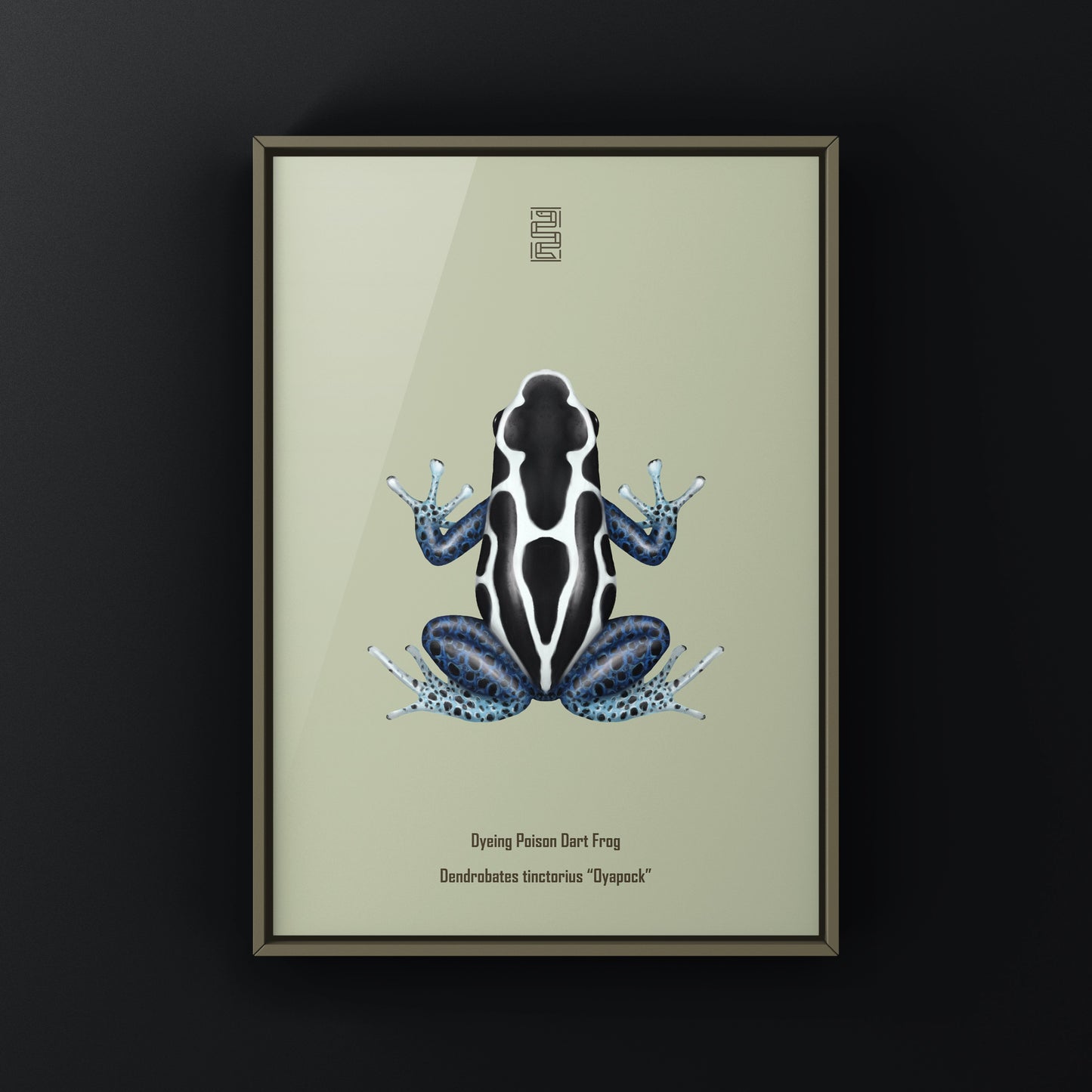 Oyapock Dyeing Poison Dart Frog (Dendrobates tinctorius) Art Print