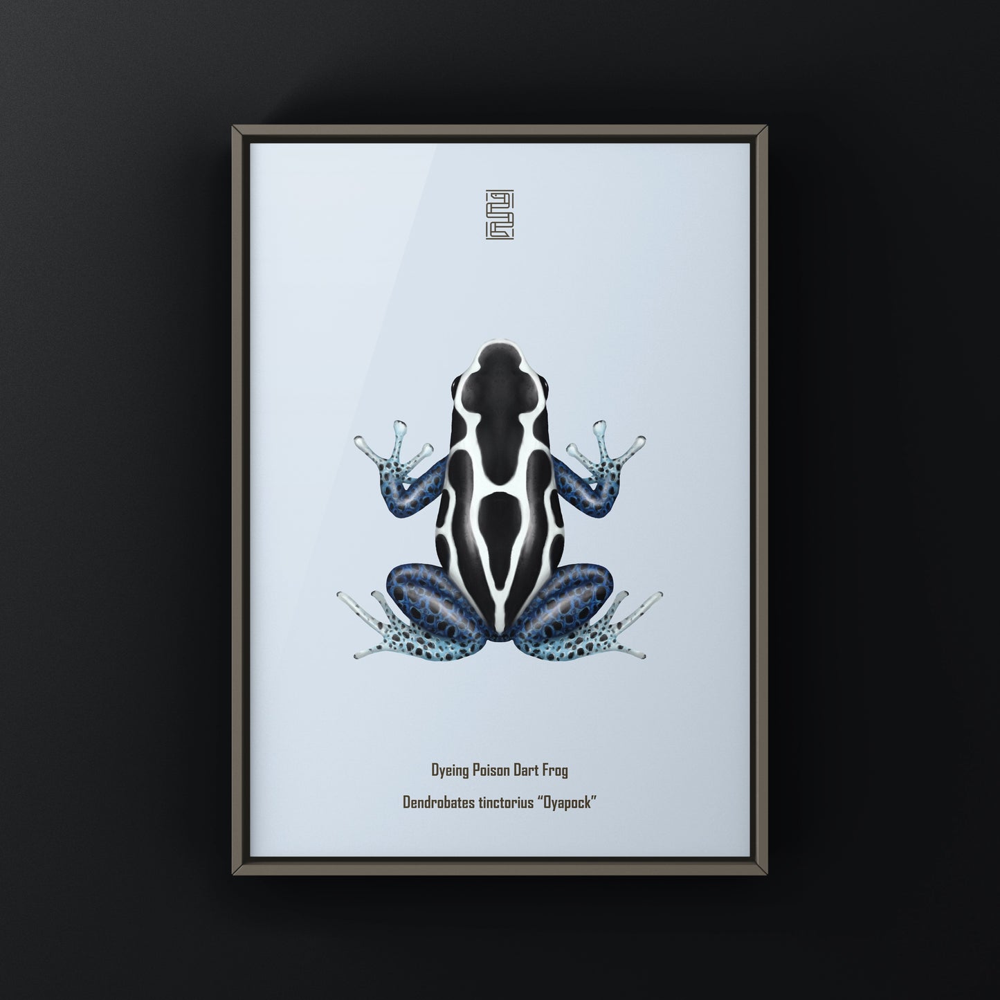Oyapock Dyeing Poison Dart Frog (Dendrobates tinctorius) Art Print