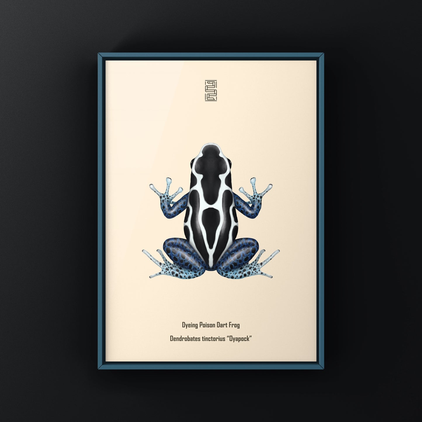 Oyapock Dyeing Poison Dart Frog (Dendrobates tinctorius) Art Print