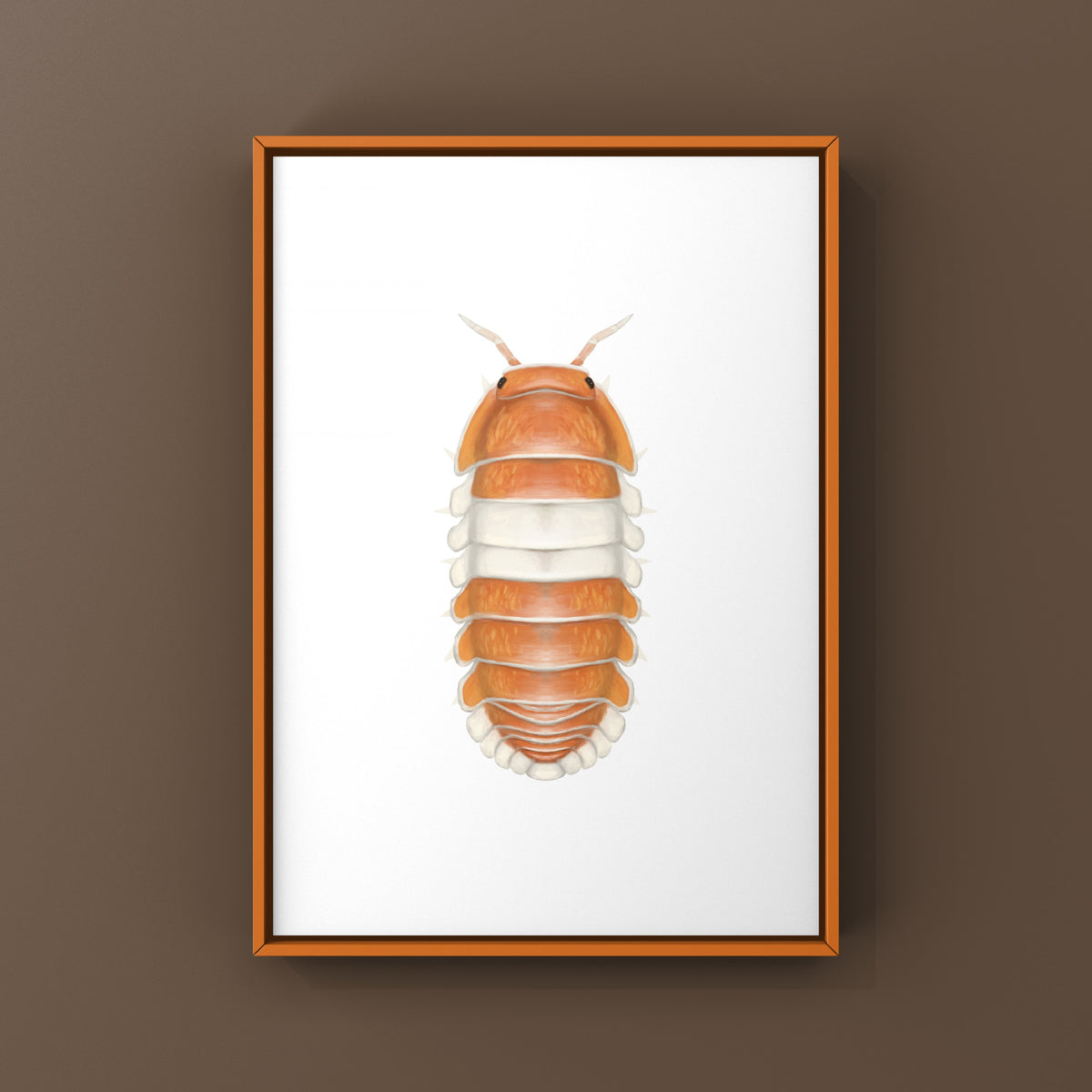 Red Panda King Isopod Art Print (Cubaris sp. Red Panda King) from The Silk Ranch