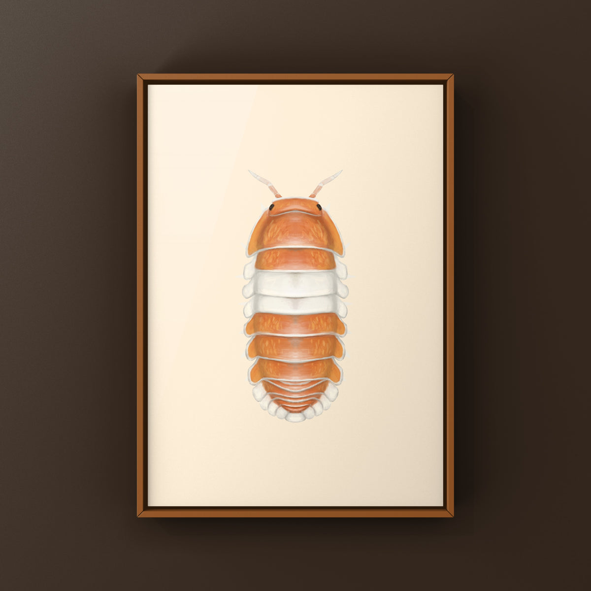 Red Panda King Isopod Art Print (Cubaris sp. Red Panda King) from The Silk Ranch