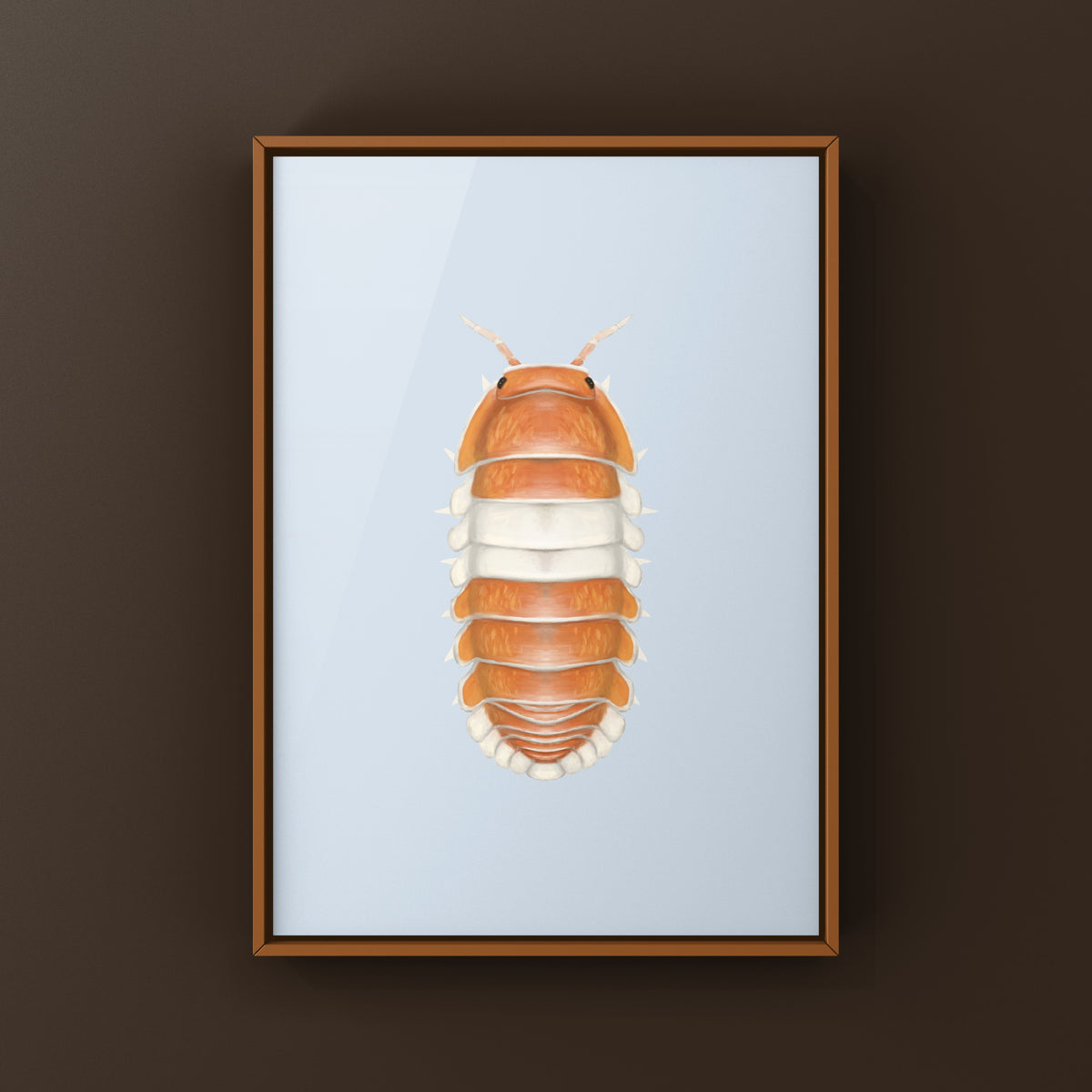 Red Panda King Isopod Art Print (Cubaris sp. Red Panda King) from The Silk Ranch